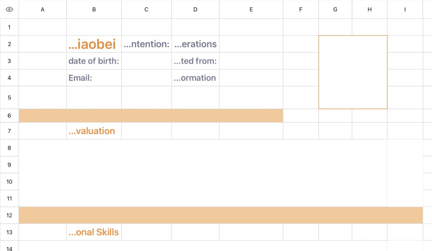 Resume of Operations Specialist